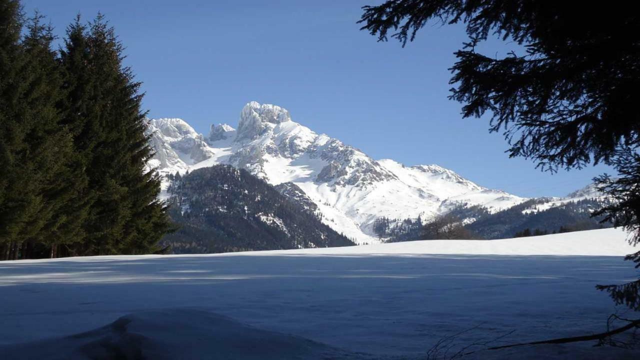 Berg Chalet Annaberg im Lammertal Kültér fotó