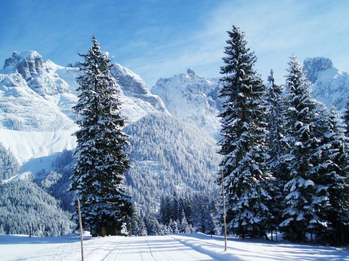 Berg Chalet Annaberg im Lammertal Kültér fotó